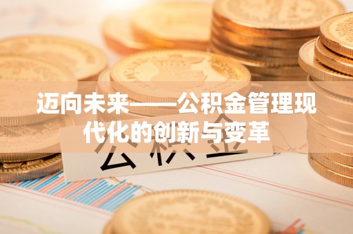内湖迈向未来——公积金管理现代化的创新与变革