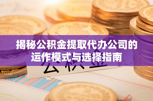内湖揭秘公积金提取代办公司的运作模式与选择指南