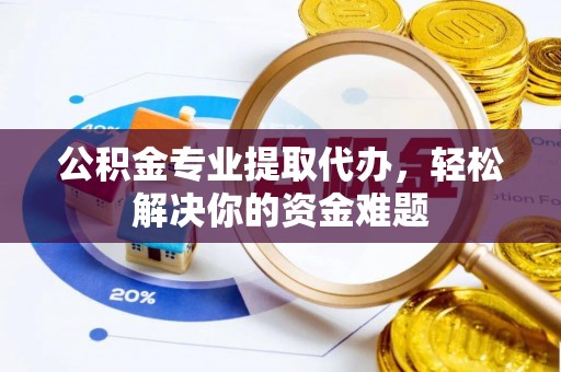 内湖公积金专业提取代办，轻松解决你的资金难题