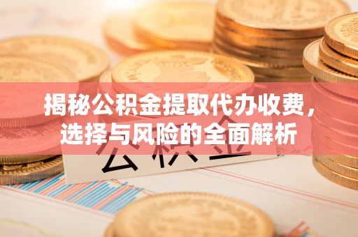 内湖揭秘公积金提取代办收费，选择与风险的全面解析