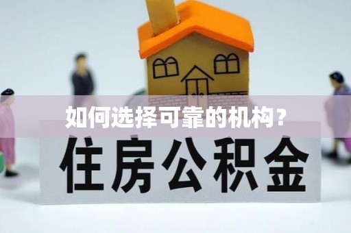 内湖如何选择可靠的机构？