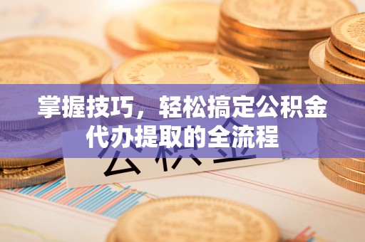 内湖掌握技巧，轻松搞定公积金代办提取的全流程