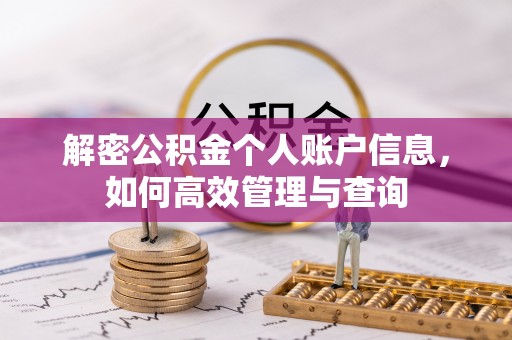 内湖解密公积金个人账户信息，如何高效管理与查询