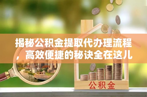 内湖揭秘公积金提取代办理流程，高效便捷的秘诀全在这儿