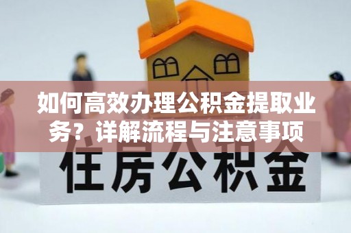 内湖如何高效办理公积金提取业务？详解流程与注意事项