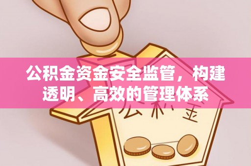 内湖公积金资金安全监管，构建透明、高效的管理体系