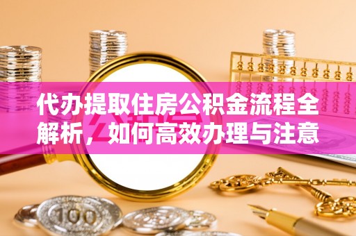 内湖代办提取住房公积金流程全解析，如何高效办理与注意事项