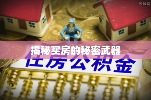 内湖揭秘买房的秘密武器