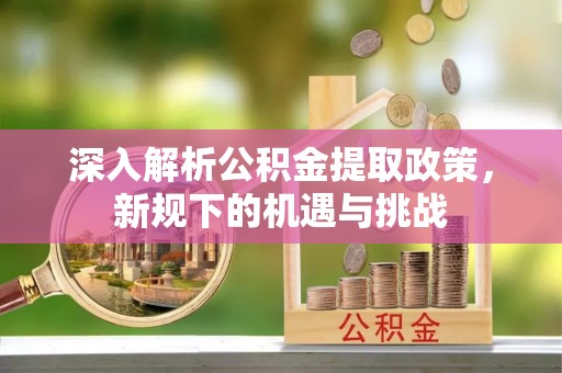 内湖深入解析公积金提取政策，新规下的机遇与挑战