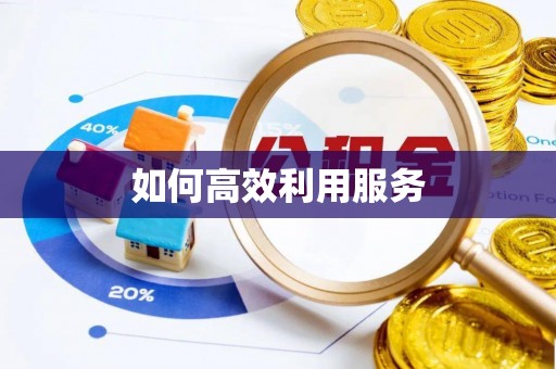 内湖如何高效利用服务