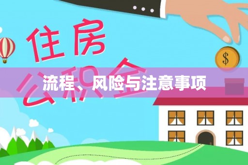 内湖流程、风险与注意事项